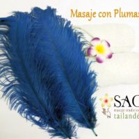 Masaje de plumas y cosquillas Masaje de plumas y cosquillas